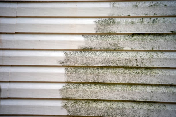 Best Siding for Multi-Family Homes  in Clearlake Riviera, CA