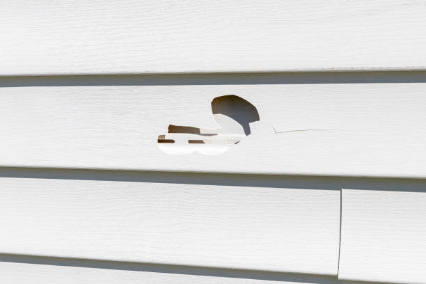 Best Custom Trim and Detailing for Siding  in Clearlake Riviera, CA